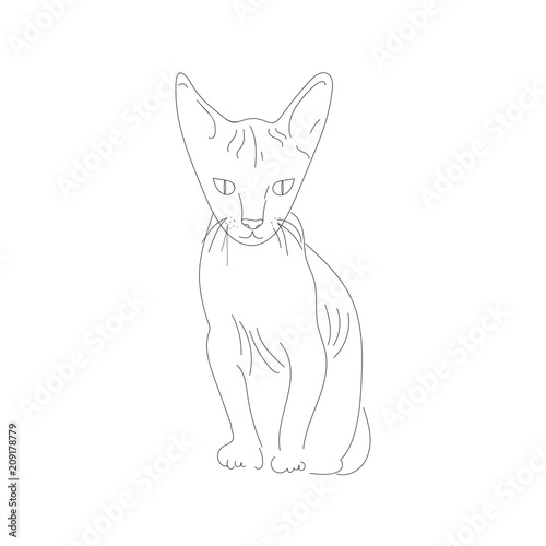 Sphinx cat. Vector Sketch Illustration.  line art. hand drawn.