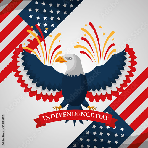eagle fireworks national symbol american independence day vector illustration