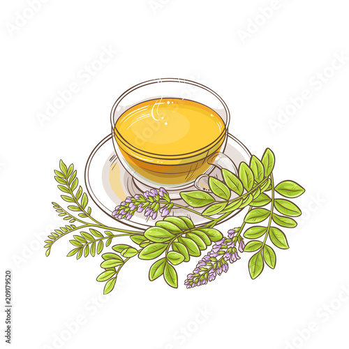 licorice tea illustration photo