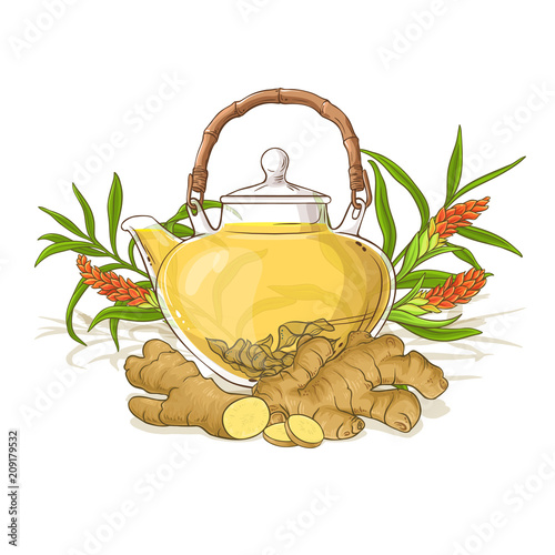 ginger tea illustration