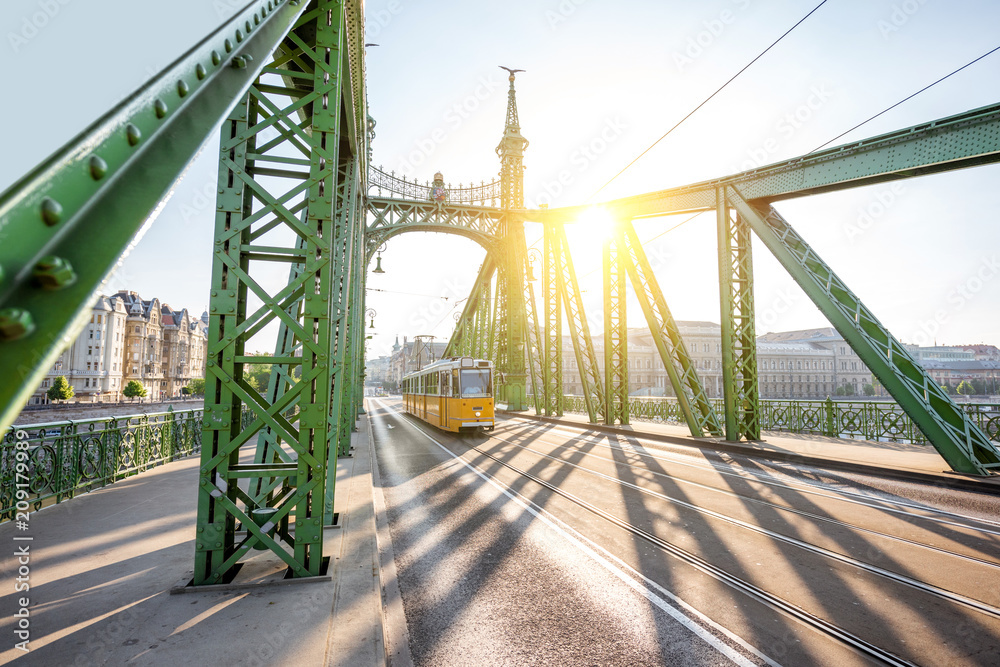 Fototapeta premium Geometrical view on the famous Liberty bridge during the sunrise in Budapest, Hungary