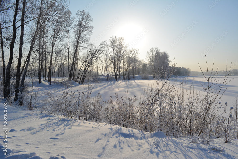 Winter scene. Trees and herbs grow on the bank of frozen river. Sunlight leaves long shadows on snow. Winter scene. Trees and herbs grow on the bank of frozen river. Sunlight leaves long shadows on snow.