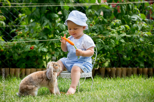 Cute little baby boy, child feeding little bunny with carrots in park.