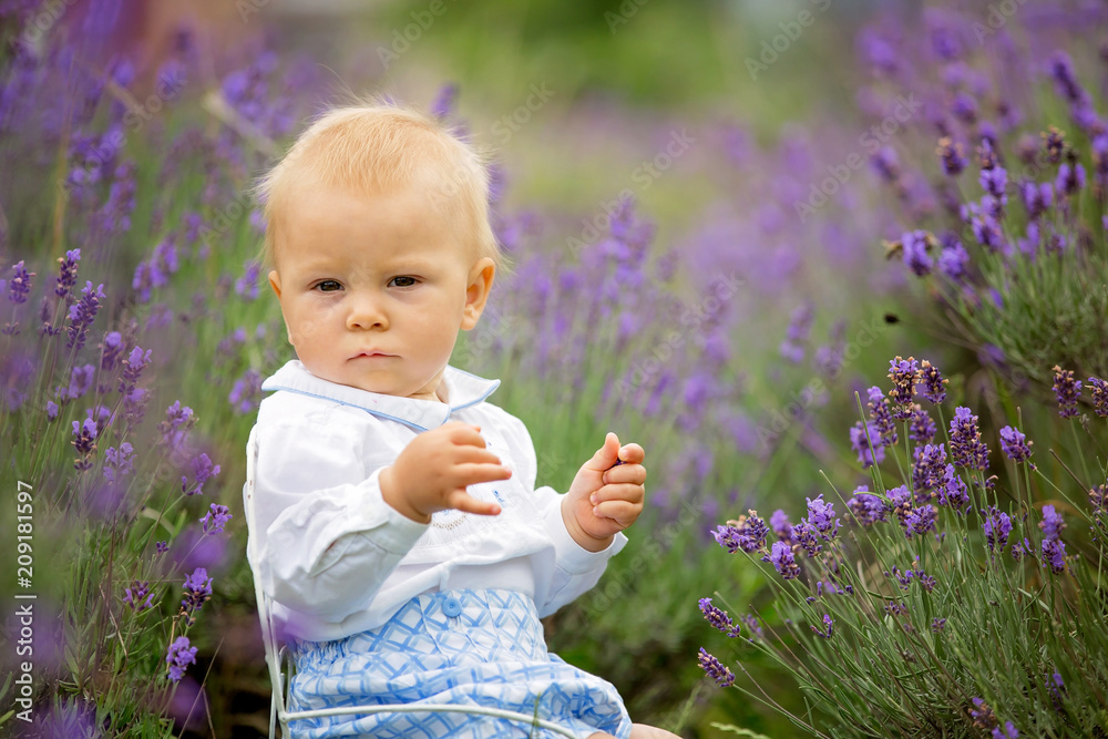Happy baby boy in lavender summer field. Happy baby boy in lavender summer field.