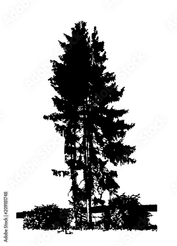 Tree Silhouette Isolated on White Backgorund. Vecrtor Illustration