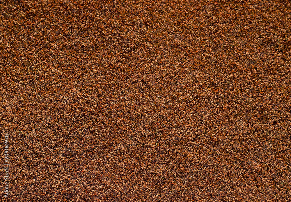 Texture of the herb cover sports field. Used in tennis, golf, baseball, field hockey, football, cricket, rugby. Texture of the herb cover sports field. Used in tennis, golf, baseball, field hockey, football, cricket, rugby.
