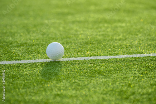 White ball for playing field hockey on the grass background