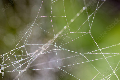 Spider web background