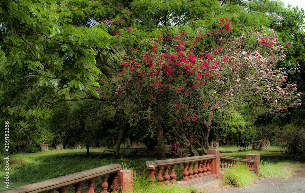 Obraz premium Landscape3