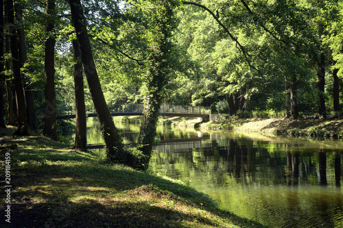 volkspark jungfernheide