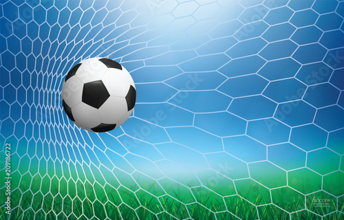 Soccer football ball in soccer goal with green grass field area and light blurred bokeh for background. Vector.