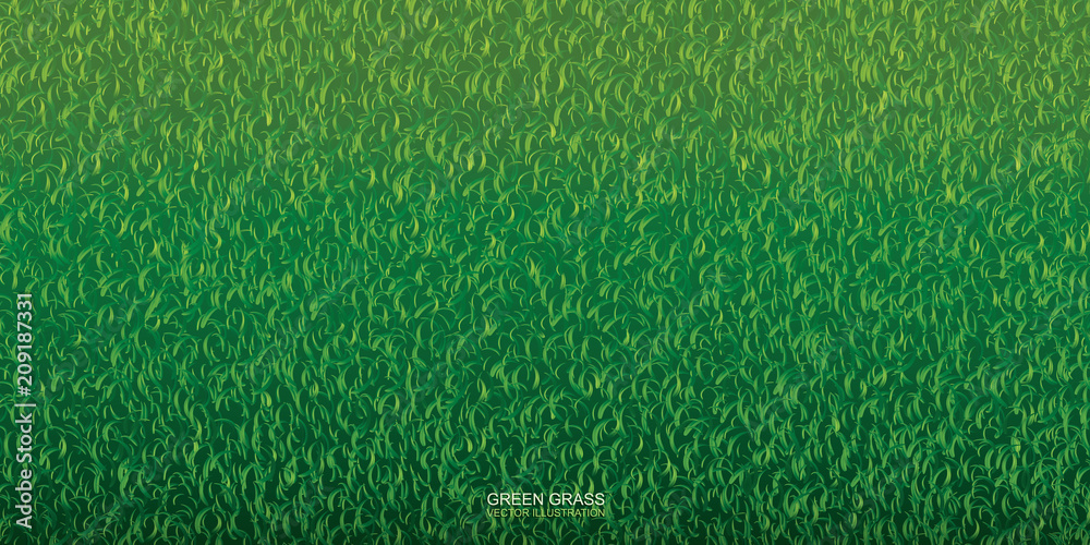 Green nature lawn grass texture and pattern for background. Vector ...