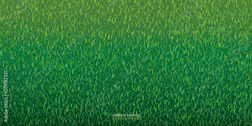 Green nature lawn grass texture and pattern for background. Vector.