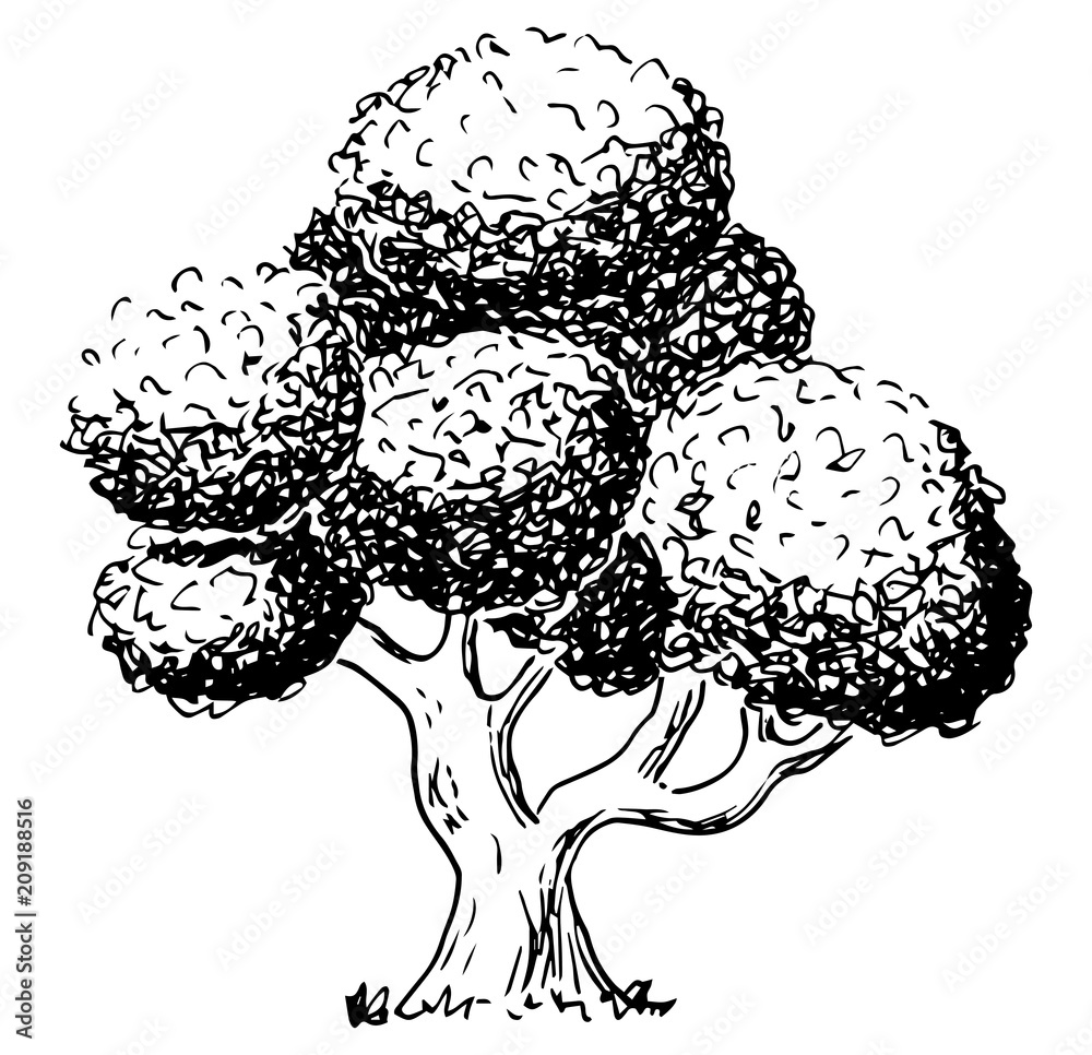 von hand gezeichneter Laubbaum 