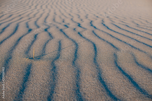 Lignes de sables