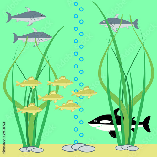 Marine underwater life with fish and algae. Sharks and other fishes. Sea bottom with seaweed, bubbles, stones. 