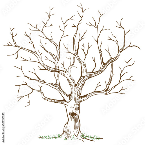Albero guestbook