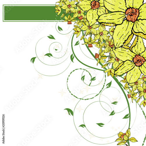  Vector hand drawing  Narcissus flowers background