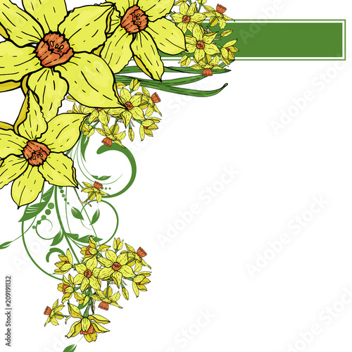  Vector hand drawing  Narcissus flowers background