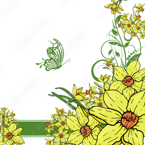  Vector hand drawing  Narcissus flowers background