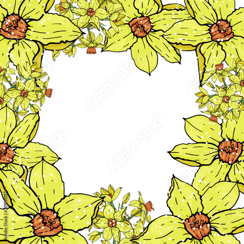  Vector hand drawing  Narcissus flowers background
