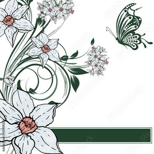  Vector hand drawing  Narcissus flowers background