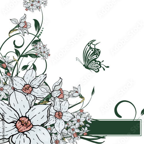  Vector hand drawing  Narcissus flowers background