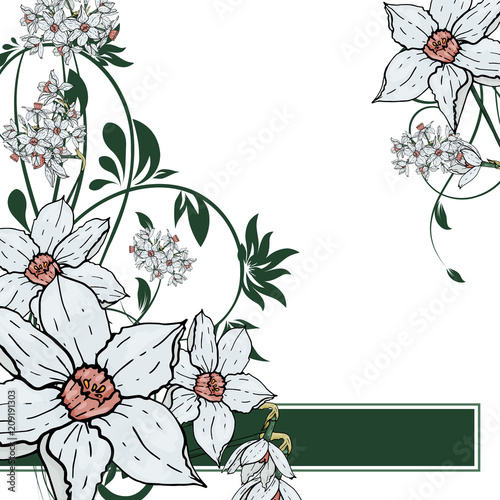  Vector hand drawing  Narcissus flowers background