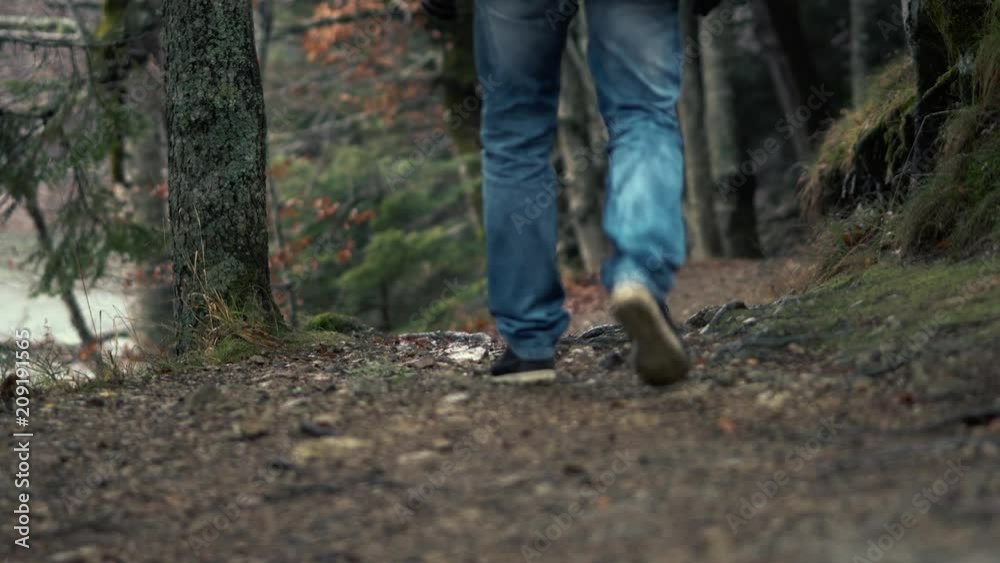 Tourist Concept - The Legs Of Unidentified Man In Jeans Walk Along The Trails Of A Hilly Autumnal Beautiful Forest Tourist Concept - The Legs Of Unidentified Man In Jeans Walk Along The Trails Of A Hilly Autumnal Beautiful Forest