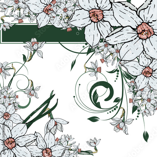  Vector hand drawing  Narcissus flowers background