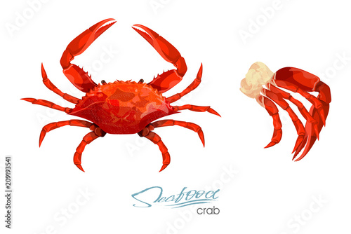 Crab and meat crab vector illustration in cartoon style isolated on white background. Seafood product design. Inhabitant wildlife of underwater world. Edible sea food. Vector illustration