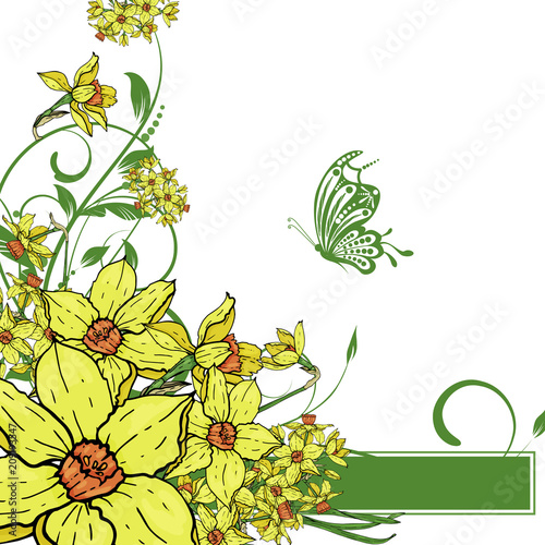  Vector hand drawing  Narcissus flowers background