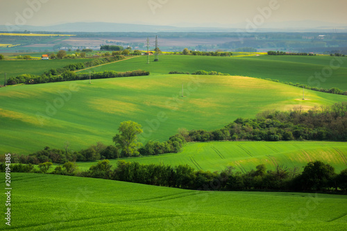 Moravian fields at spring near Strazovice, Czech Republic