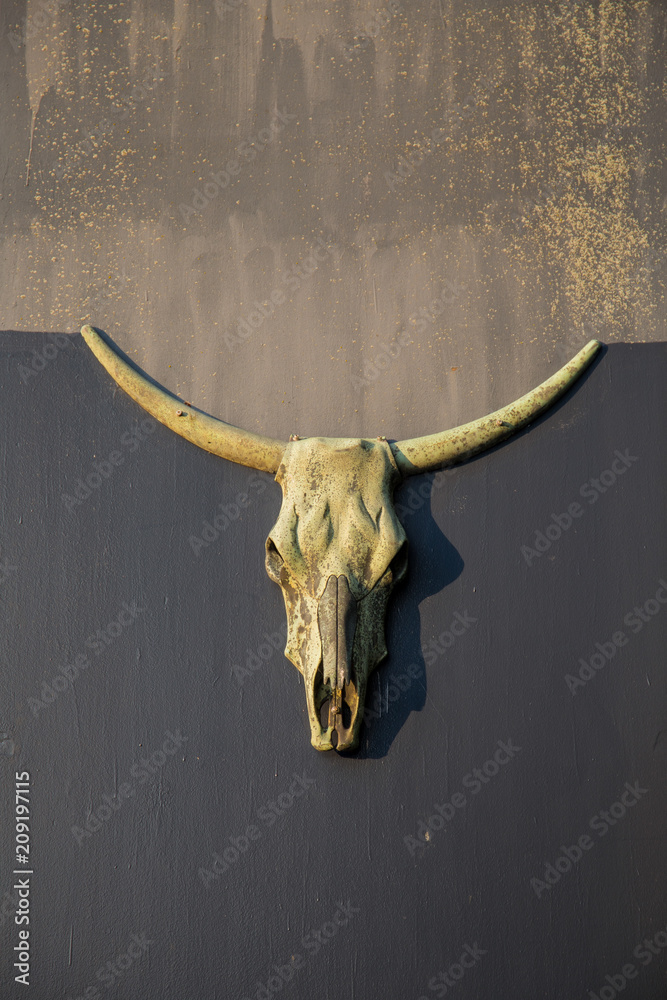 Fototapeta premium dead animal head on wall
