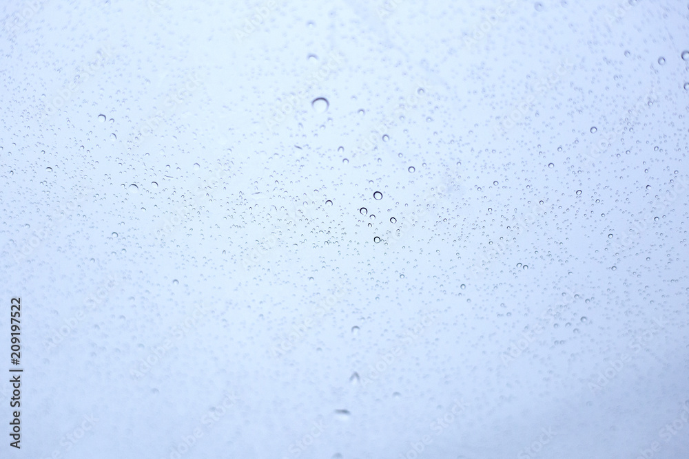 Fototapeta premium 雨 雫