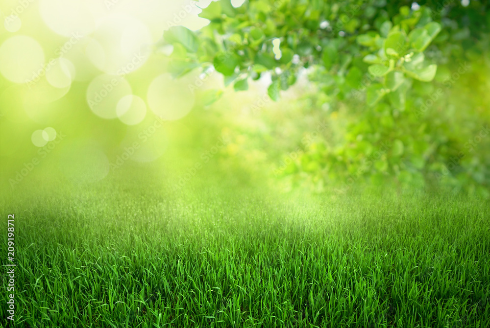 Natural green defocused spring summer blurred background with sunshine. Juicy young grass and foliage on nature in rays of sunlight, copy space. - obrazy, fototapety, plakaty 