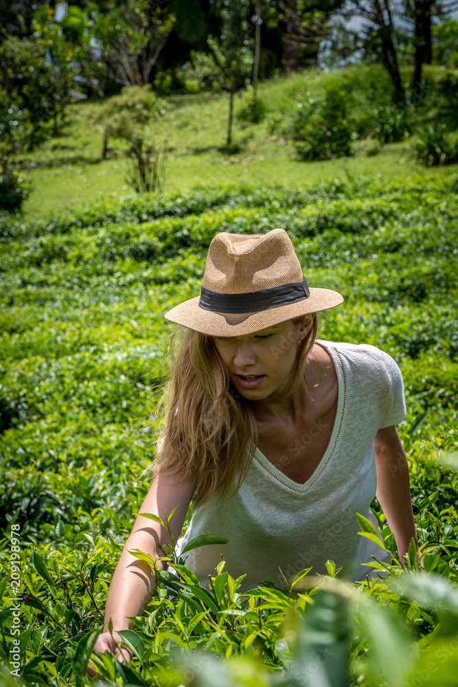Blonde girl on the tea plantation