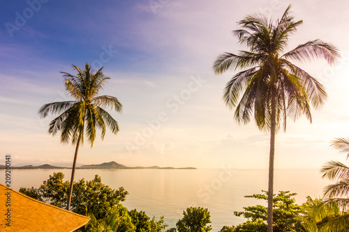 Beautiful tropical sea ocean with coconut palm tree in paradise island