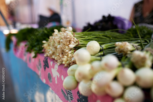 Display of fresh green and white onions and garlic. Fruits and vegetables at a farmers summer market.