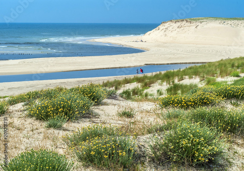 Fotografie 3800045