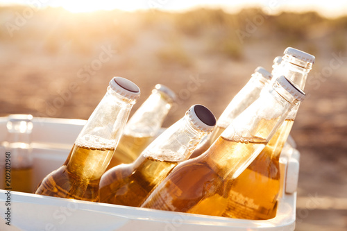 Close up of beer bottles cooling in a fridge