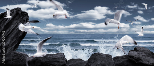 empty fairytale sea view background with seagulls, waves and rocks photo