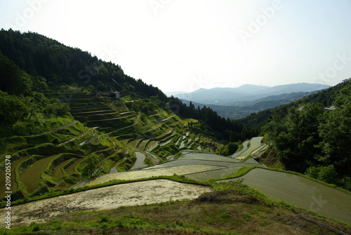 棚田百選・泉谷の棚田（Rice terraces of Izumidani） photo