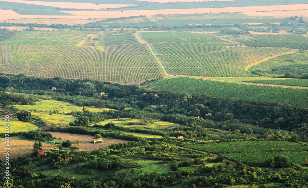Aerial view of Banat plain, Vojvodina, Serbia