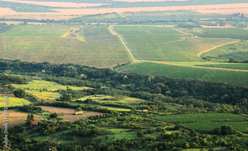 Aerial view of Banat plain  Vojvodina  Serbia
