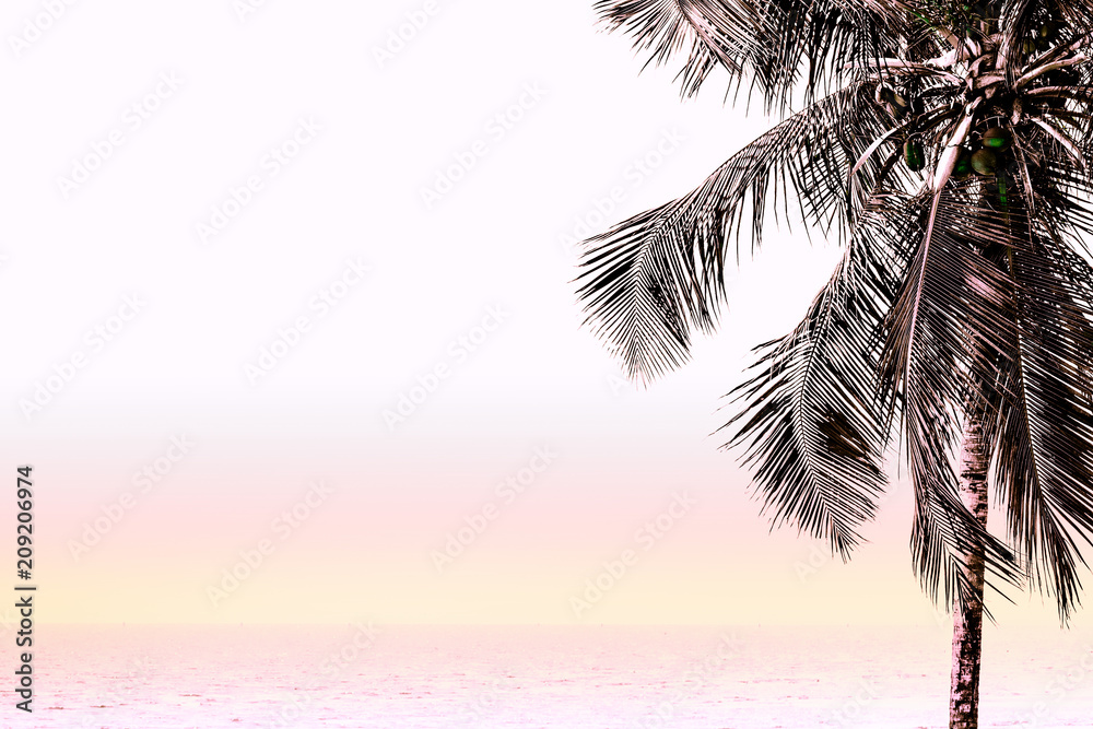 Fototapeta premium summer sky on the beach