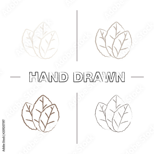 Tobacco leaf hand drawn icons set