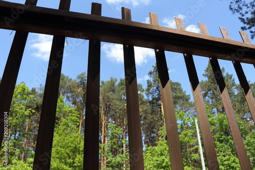 Metal gate with forest and blue sky in the background