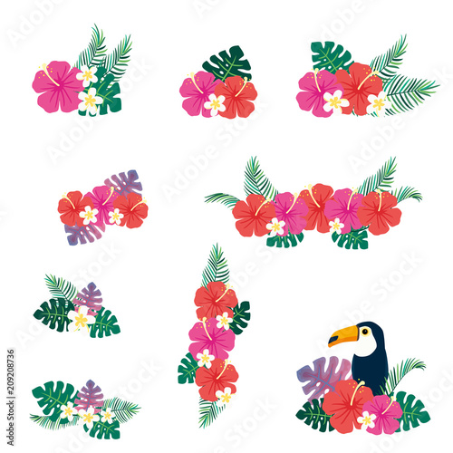 Vector illustration set of tropical flowers bouquet