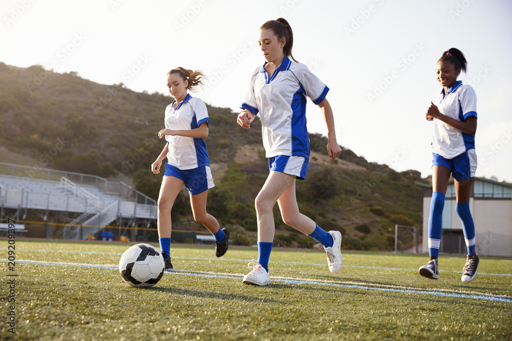 Group Of Female High School Students Playing In Soccer Team Group Of Female High School Students Playing In Soccer Team